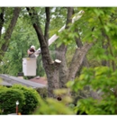 Jack Benignos Tree Service Inc - Arborists