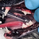 Spay Neuter Clinic of the Carolinas - Veterinarians