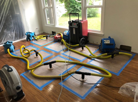 Done Right Carpet & Restoration - Saint Paul, MN