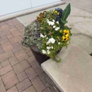 5280 Tree and Landscaping Services - Landscape Designers & Consultants
