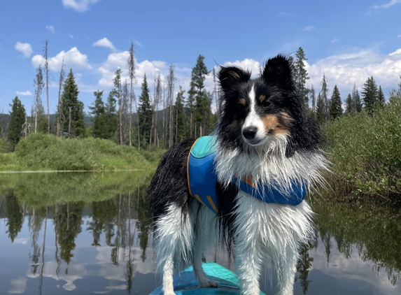 Acorn Lake Veterinary Service - Frazee, MN