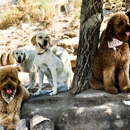 Topanga Pet Resort - Dog Training
