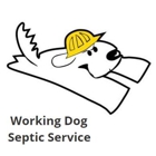 Working Dog Septic Service