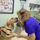 Four Paws Angels Animal Clinic