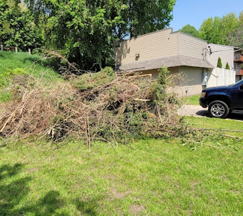 Miller Tree Service - Hastings, MN