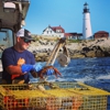 Mason's Famous Lobster Rolls gallery