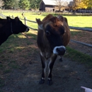 Billings Farm & Museum - Farms