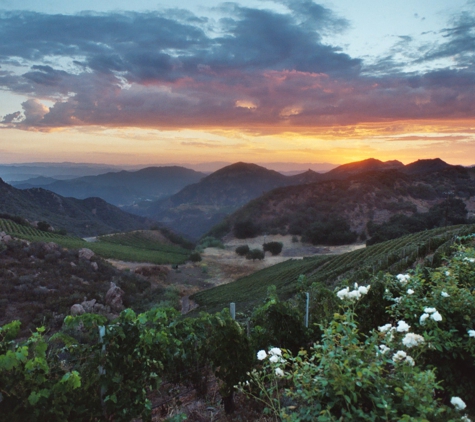 Malibu Wine Hikes - Malibu, CA