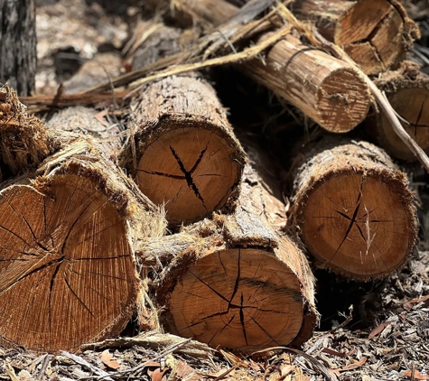 All Scale Tree Services - Mittagong, NSW