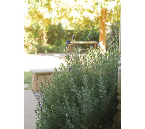Gecko Gardens - College Park, SA