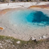Experience Yellowstone Tours gallery