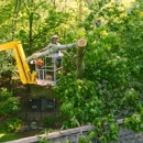 Tree Worx - Arborists