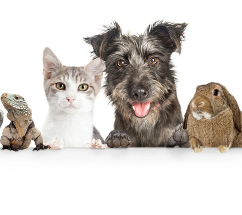 Ashcroft Veterinary Surgeons - Ashcroft, NSW