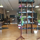 Natural Intentions Salon & Spa