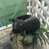 Critter Control gallery