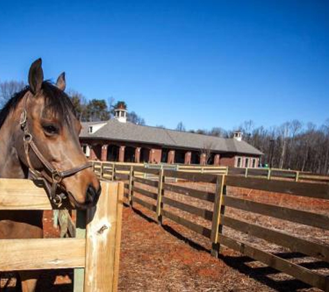 Carolina Equine Hospital - Browns Summit, NC