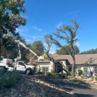 Newcomb Tree Experts, Inc