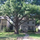 Arboretum Tree Services - Tree Service