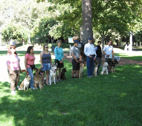 American Canine Institute - Fremont, CA