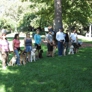 American Canine Institute - Fremont, CA