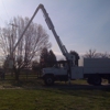 Central Tree Service gallery