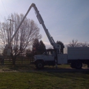 Central Tree Service - Tree Service