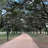 Hermann Park Golf Course gallery