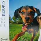 K9 Resorts Luxury Pet Hotel Fairfield