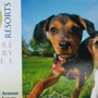 K9 Resorts Luxury Pet Hotel Fairfield