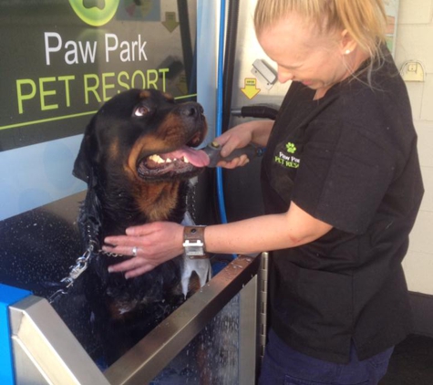 Paw Park Pet Resort - Woodburn, NSW
