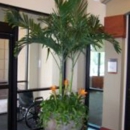 Foliage Design Systems - Interior Decorators & Designers Supplies