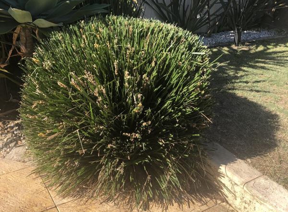 BJK Lawn Care - Success, WA