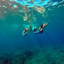 Kaanapali Ocean Adventures - Tourist Information & Attractions