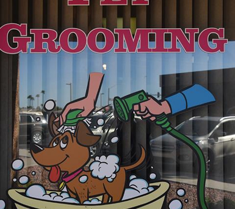 Molly Friends Pet Grooming - Surprise, AZ