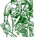 Mike's Tree Service & Landscaping - Tree Service
