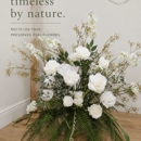 Merletto Floral Goods - Florists