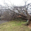 American Tree Care - Snow Removal Service