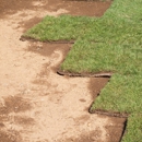 Parkway Sod and Sprinkler - Sod & Sodding Service