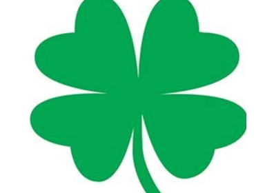 Luck Of The Irish Lawn Care Snow Removal 22065 Clinton Rd Paris Il 61944 Yp Com