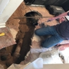 Rapid Rooter Service gallery