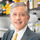 Timothy C Wang, MD - Physicians & Surgeons, Gastroenterology (Stomach & Intestines)