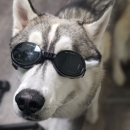 Wedington Animal Hospital - Pet Grooming