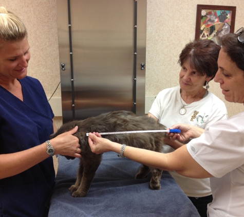 Savanna Animal Hospital, Inc. - Patricia Ries DVM - Jensen Beach, FL