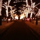 Commonwealth Avenue Mall