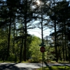 Dunwoody Public Library gallery