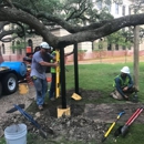Tree Preservation Group - Tree Service