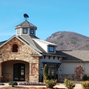 Yonah Mountain Vineyards - Wineries