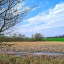 Albritton Land Clearing - Grading Contractors