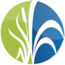 Innovative Fountain Services Inc - Lake Management