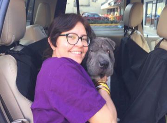 The Pet House Clinic - Miami Beach, FL. Elisa, saying goood bye to our rescue Pei pei, who went to a loving home.  Elisa, was EB's girlfriend for a few weeks.